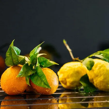 Carrington Gold Tower Κερύνεια